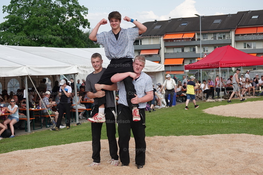 DSC04413 | Schwingen - Realisiert mit Pictrs.com