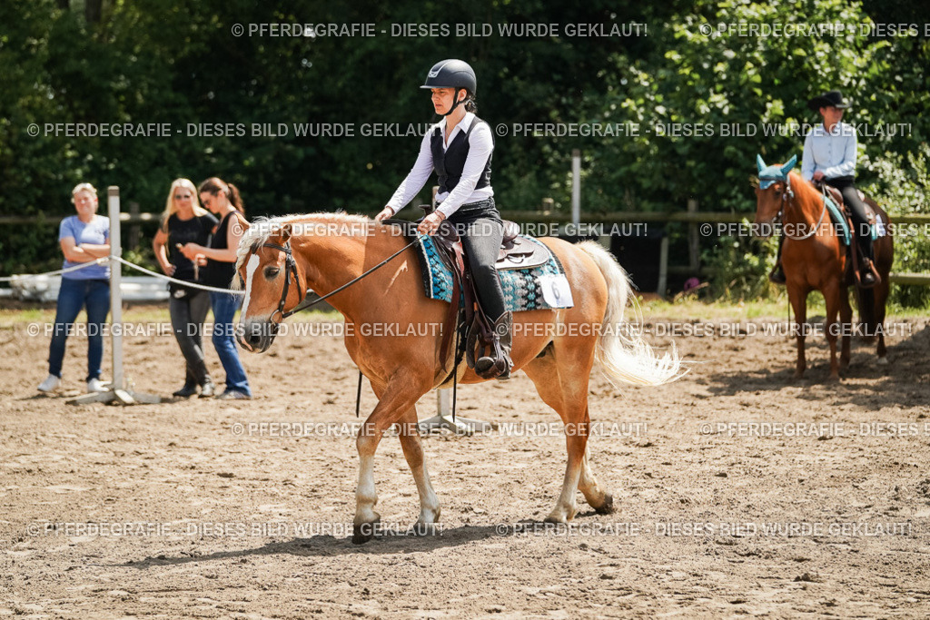 DSC07065 | Pferdegrafie