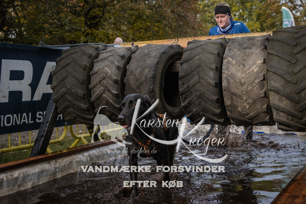 1444_ZZ94967 | kk-dogfotos