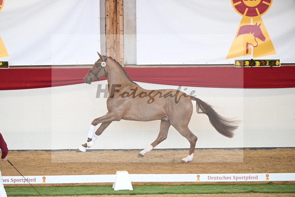 Kat.-Nr. 85 v. Vitalis_Wiens_2250788 | hf-fotografie - Realizzato con Pictrs.com