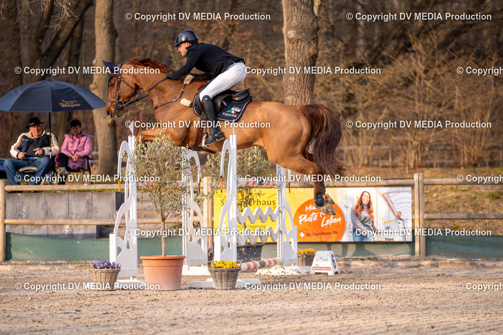 Kranichstein Tag 2-2414 | dv-media-shop - Realisiert mit Pictrs.com