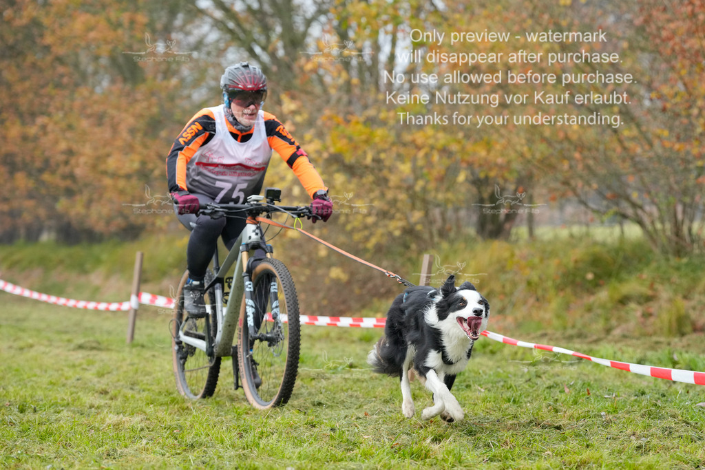 Visbeck_Sa_Bike-227 | stephaniefillaphotographie - Realisiert mit Pictrs.com