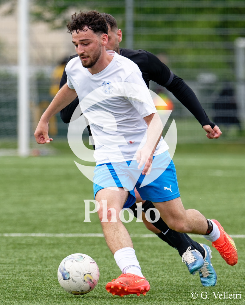 DSC_3114 | Velletri Photo