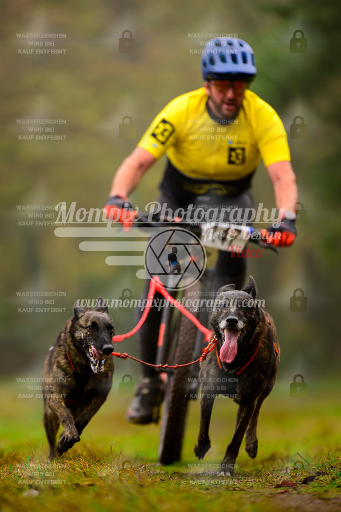 MompixPhotography_Bischwiller2025_Bike-131 | mompixphotography