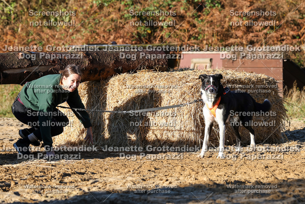 Dog Paparazzi - Strongdog 10-25-1135 | Dog Paparazzi Jeanette Grottendiek Fotografie & Videografie - Realisiert mit Pictrs.com