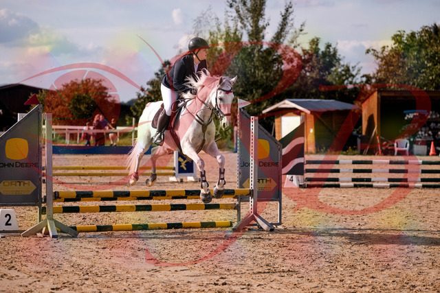 2026_10_03_Siefer-Hof_153926_Z81_54449510 | Professionelle Reitsport-, Turnier- und Eventfotografie von Robert Broda. Galerien mit ausgewählten und bearbeiteten Bildern direkt online ansehen und bestellen.