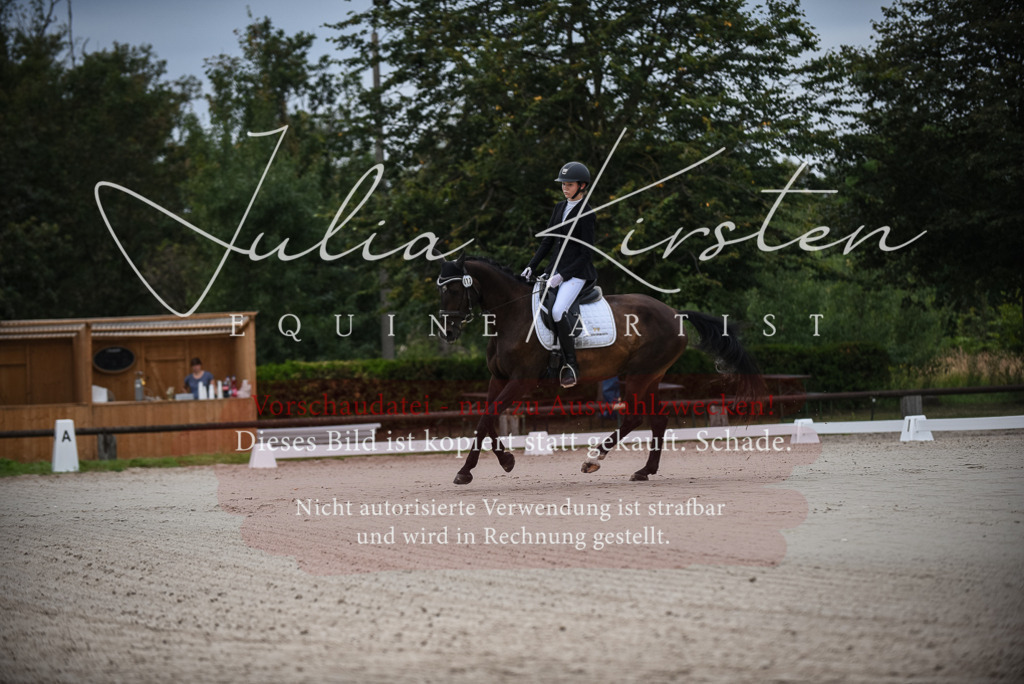 DSC_7937 | Pferde- und Turnierfotografie in Westsachsen. Pferdeportraits, Auftragszeichnungen und intuitive Kunst.