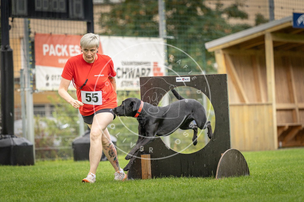 Pfotenfotografie_DV3A5151 | Hundefotografie, Tierfotograf, Pfotenfotografie, Fotoshooting Hund, Hunde Portrait, Hundesport, Hundeportraits, Heideshooting, Hunde, Sportfotograf, Hundefotograf, Turnierhundsport, THS,  - Realisiert mit Pictrs.com