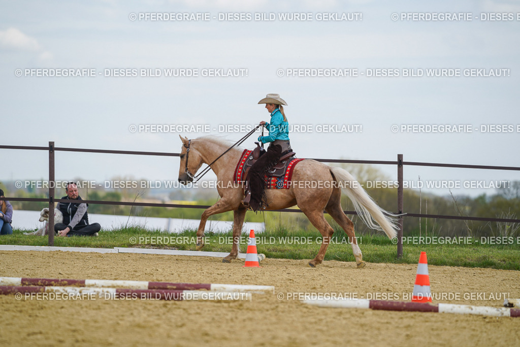 DSC05402 | Pferdegrafie