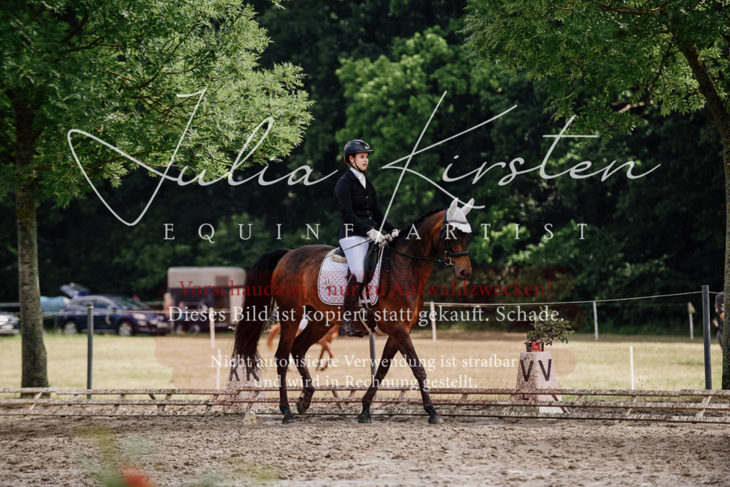 DSC_9840 | Pferde- und Turnierfotografie in Westsachsen. Pferdeportraits, Auftragszeichnungen und intuitive Kunst.