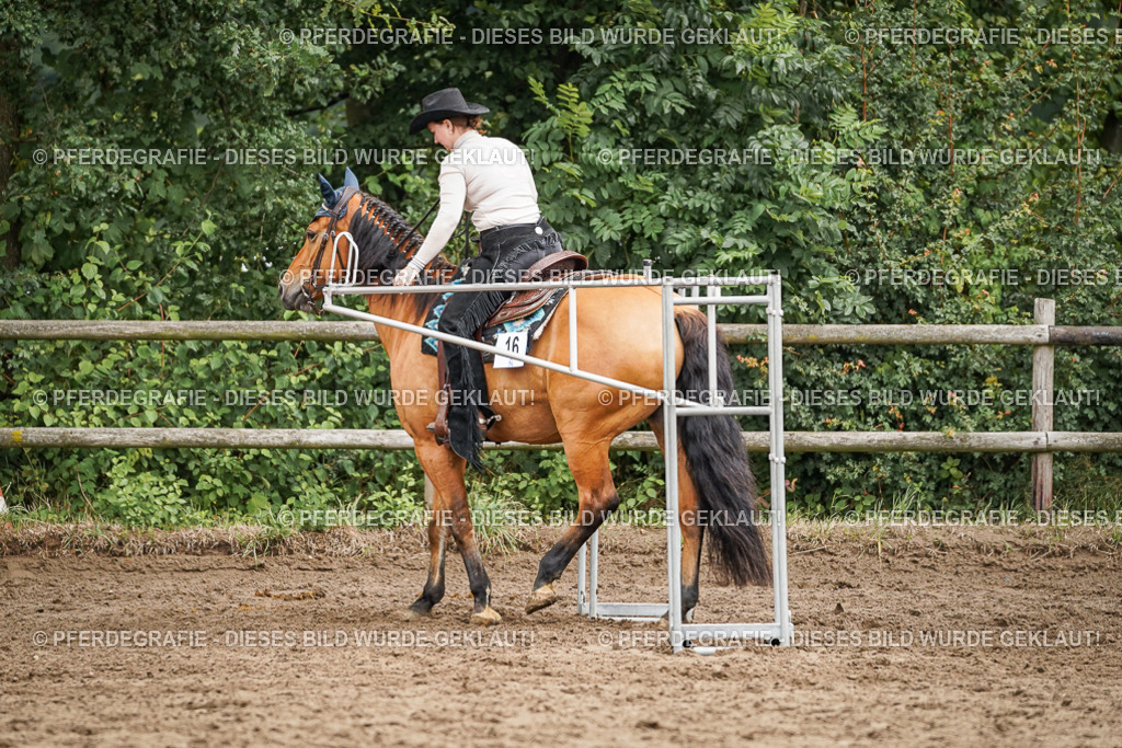 DSC04442 | Pferdegrafie