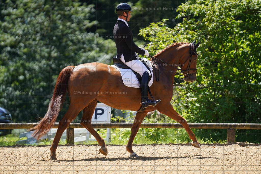 20240705-FAH03589 | Turnierbilder von Grafing, Reitsportbilder, Turnierfotos, Turnierfotografen Bayern, Pferdefotograf, Fotoagentur Herrmann