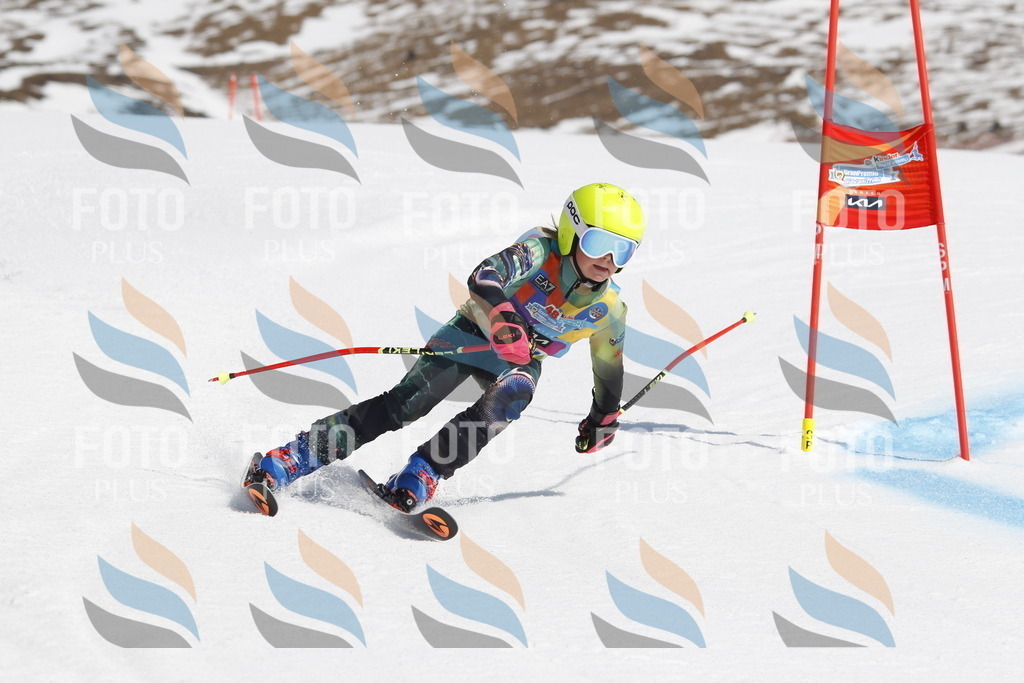 _U3G0878 | holidayphoto