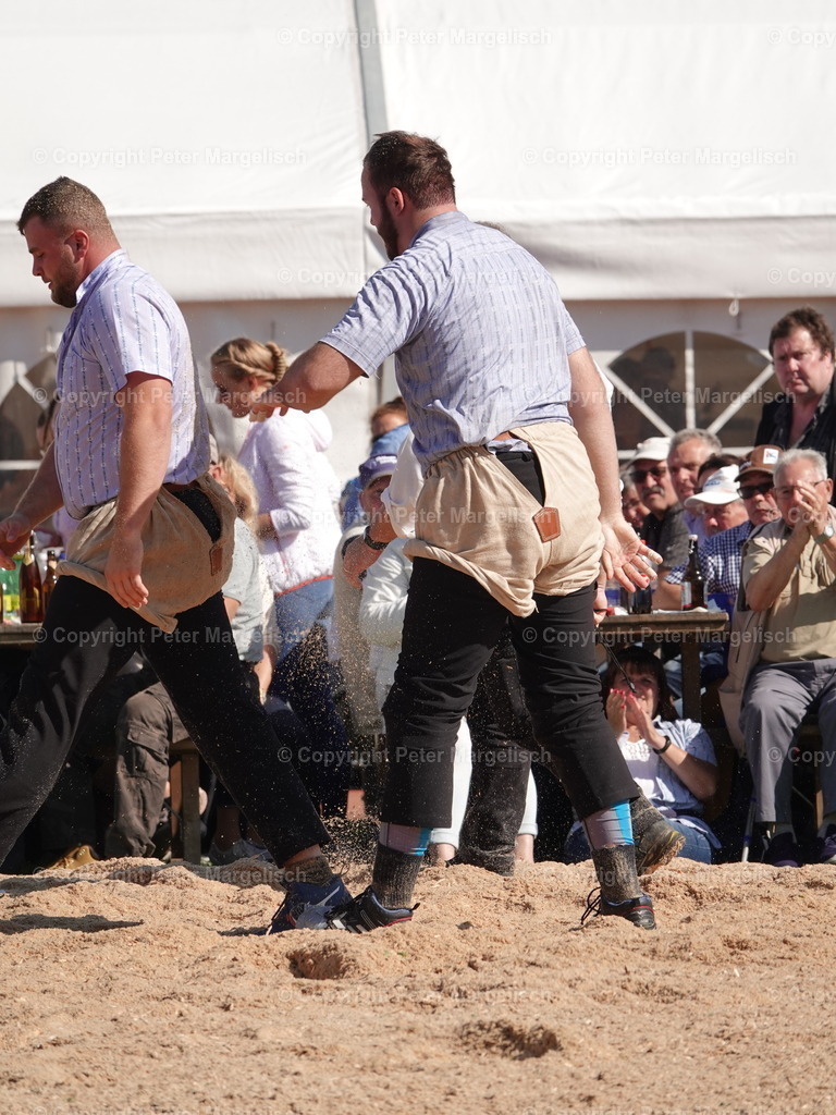 DSC05593 | Schwingen - Realisiert mit Pictrs.com