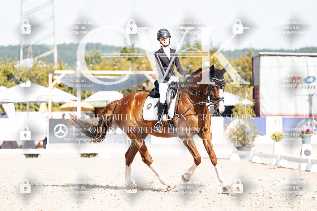 CK905614 | Turnierfotografie Pferdefotografie Trier Rheinland-Pfalz Pferdesport Reitsport Tierfotografie Sportfotografie Pferdevideo Pferdevideografie Equestrianvideography equestrianphotography  - Realisiert mit Pictrs.com