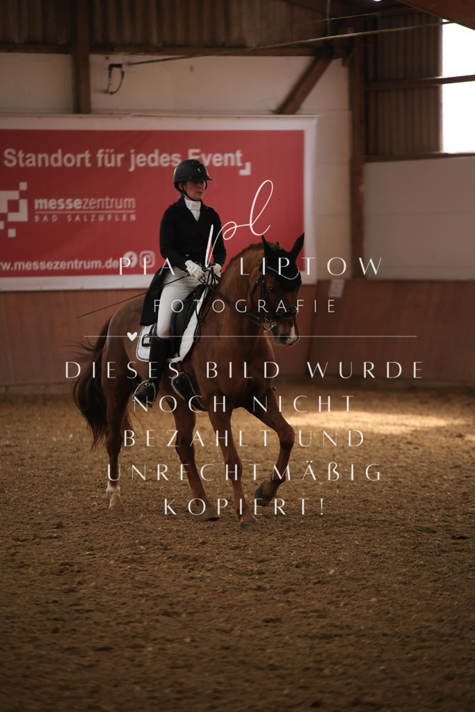 IMGT4807 | pl-fotografie