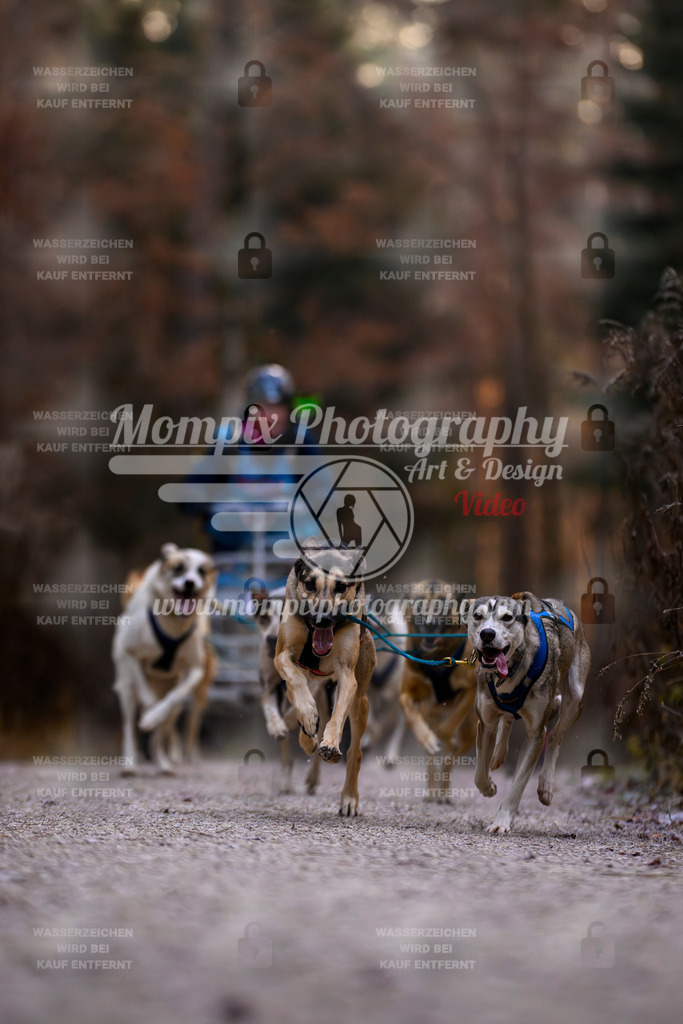 MompixPhotography_DM_AKDM_SO_2025_Wagen-1 | PayLife