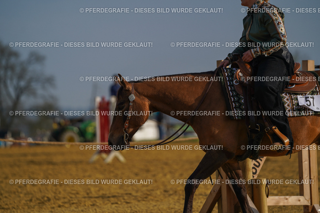 DSC00557 | Pferdegrafie