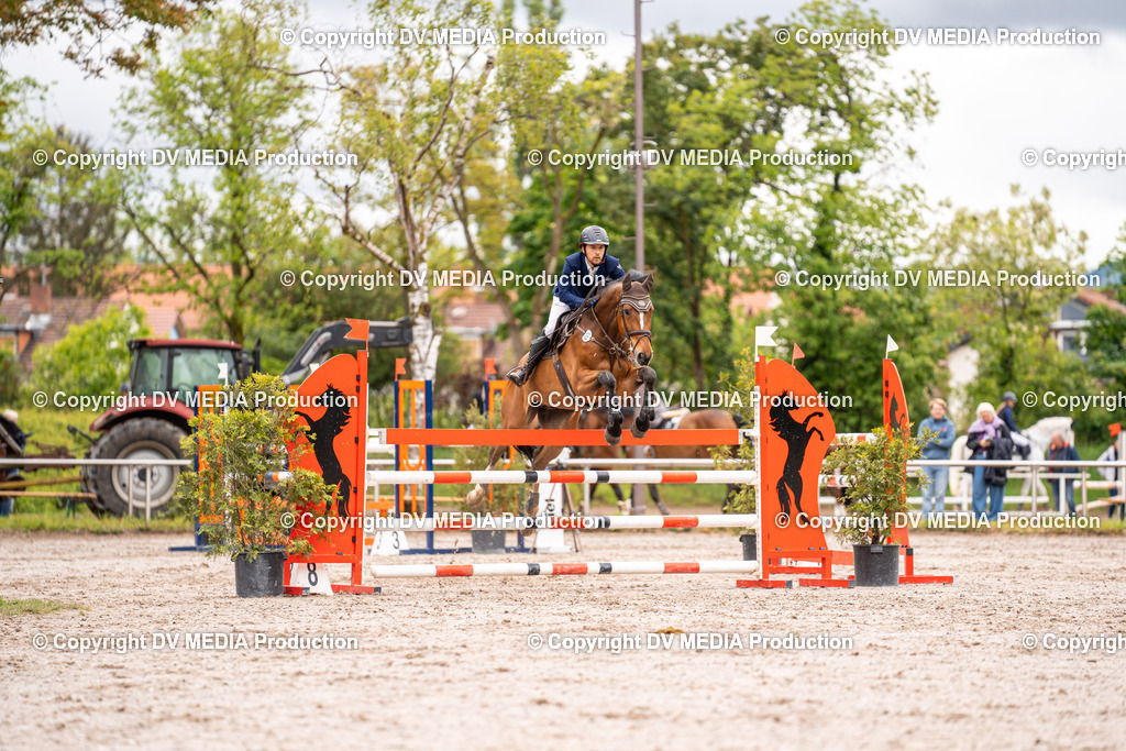 Eppelheim Tag 3-08 | dv-media-shop - Realisiert mit Pictrs.com