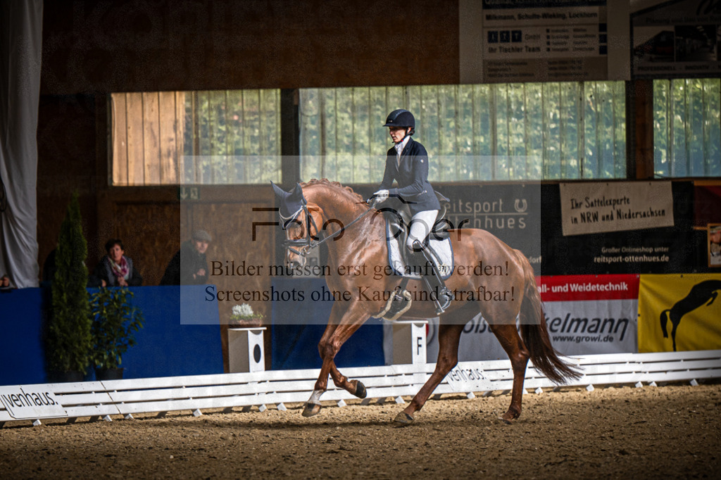 DOS_0638 | Entdecke hochwertige Reitturnierfotos von Foto Oger. Professionell, emotional und authentisch – jetzt Lieblingsmomente im Shop bestellen.Deutschlandweite Turnierfotografie. - Realisiert mit Pictrs.com