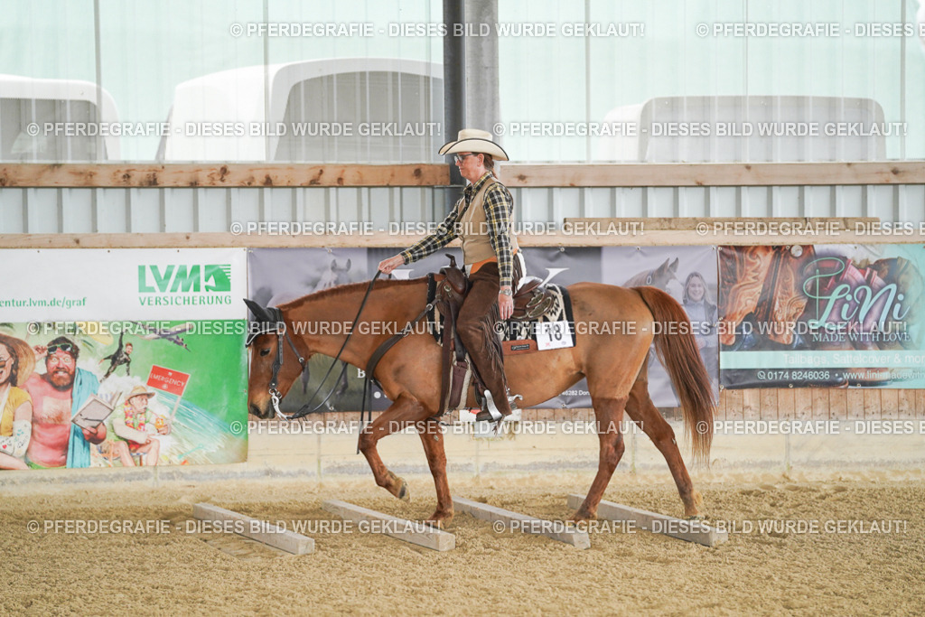 DSC03119 | Pferdegrafie