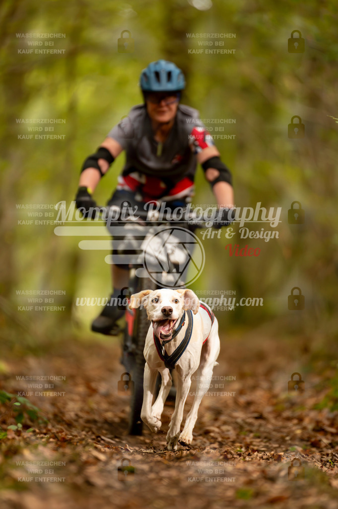 TSB_2023_E1_Bike-81 | PayLife