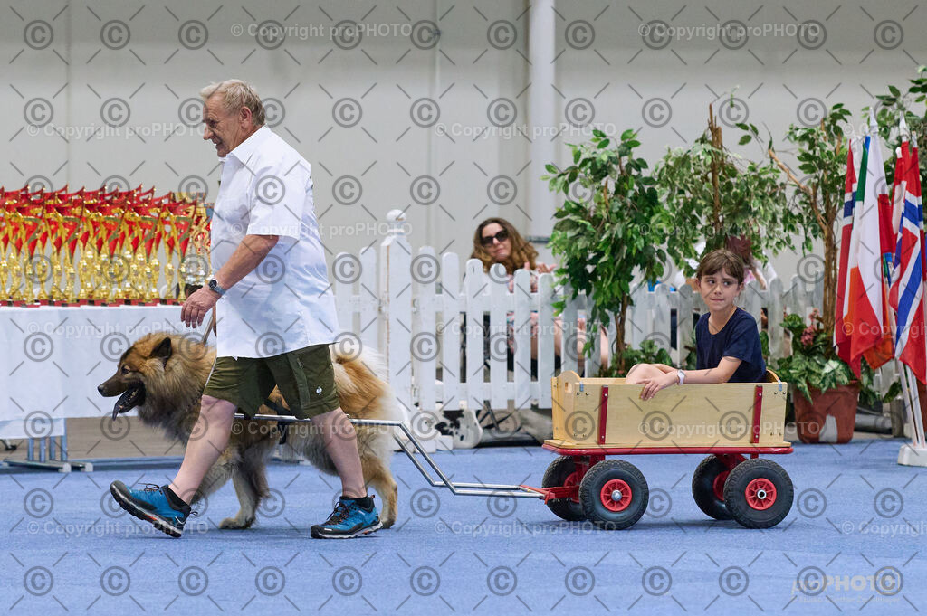 202406_ÖKV-IHA-Tulln24_DSC_4648 | proPHOTO - Realisiert mit Pictrs.com