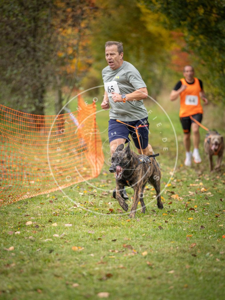 Pfotenfotografie_DV3A2717 | Hundefotografie, Tierfotograf, Pfotenfotografie, Fotoshooting Hund, Hunde Portrait, Hundesport, Hundeportraits, Heideshooting, Hunde, Sportfotograf, Hundefotograf, Turnierhundsport, THS,  - Realisiert mit Pictrs.com