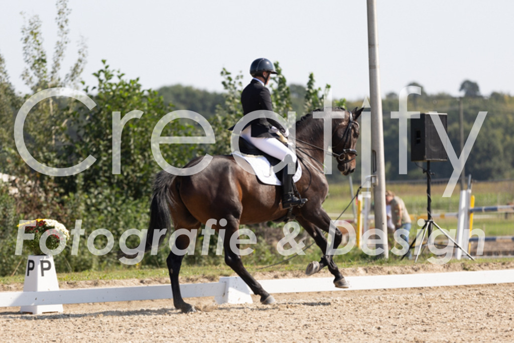 IMG_5178 | Creatify Fotografie