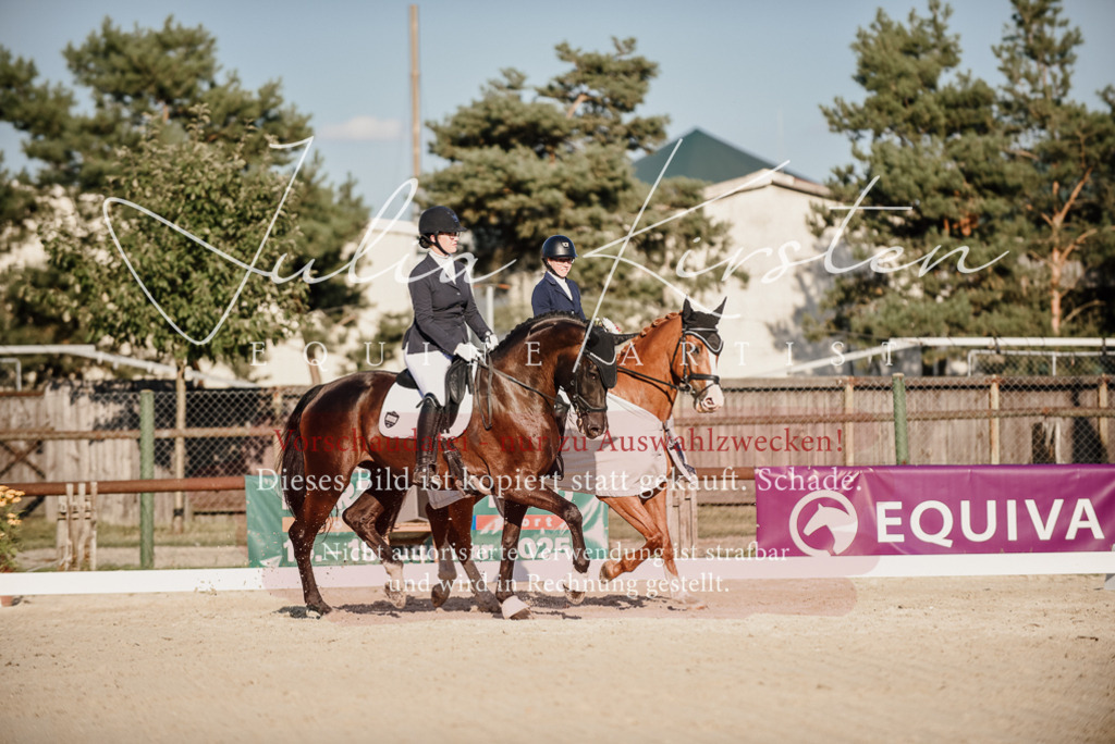 DSC_0756 | Pferde- und Turnierfotografie in Westsachsen. Pferdeportraits, Auftragszeichnungen und intuitive Kunst.