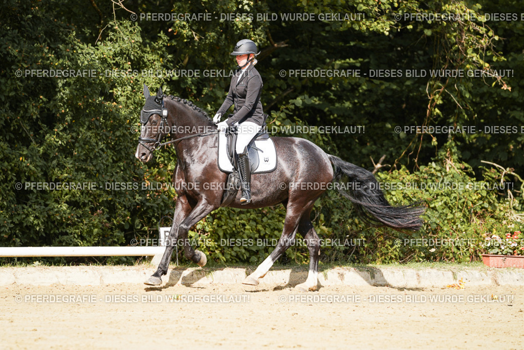 DSC02406 | Pferdegrafie