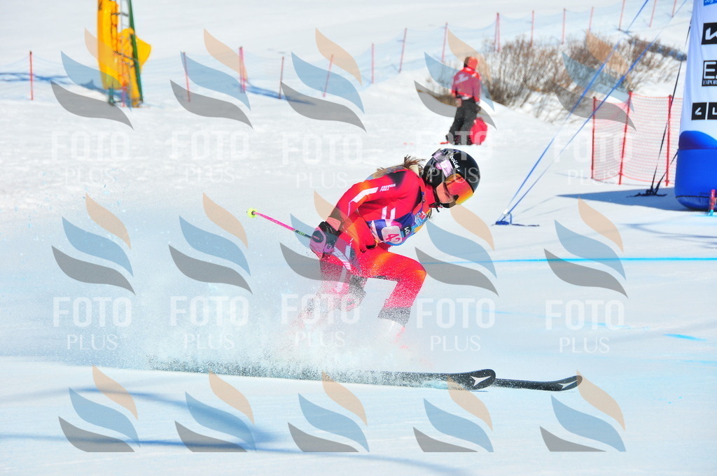 DSC_4045 | holidayphoto