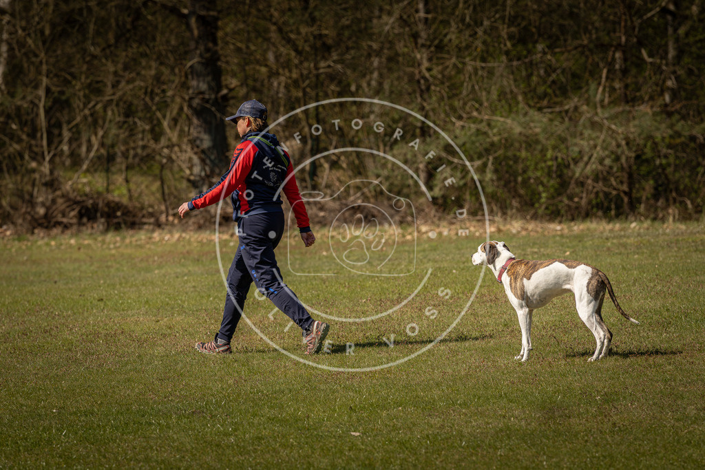 Pfotenfotografie_DV3A0752 | Hundefotografie, Tierfotograf, Pfotenfotografie, Fotoshooting Hund, Hunde Portrait, Hundesport, Hundeportraits, Heideshooting, Hunde, Sportfotograf, Hundefotograf, Turnierhundsport, THS,  - Realisiert mit Pictrs.com
