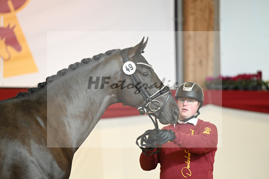 Kat-Nr. 49 Falihandro_Wilbers_1231318 | hf-fotografie - Realisiert mit Pictrs.com