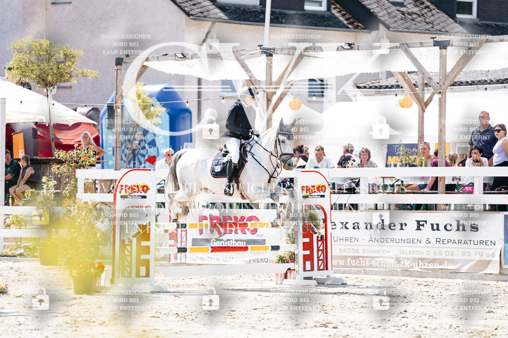 CK908936 | Turnierfotografie Pferdefotografie Trier Rheinland-Pfalz Pferdesport Reitsport Tierfotografie Sportfotografie Pferdevideo Pferdevideografie Equestrianvideography equestrianphotography  - Realisiert mit Pictrs.com