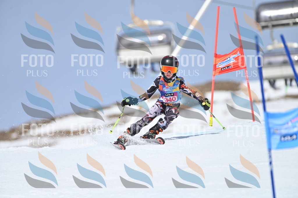 BGV_3444 | holidayphoto