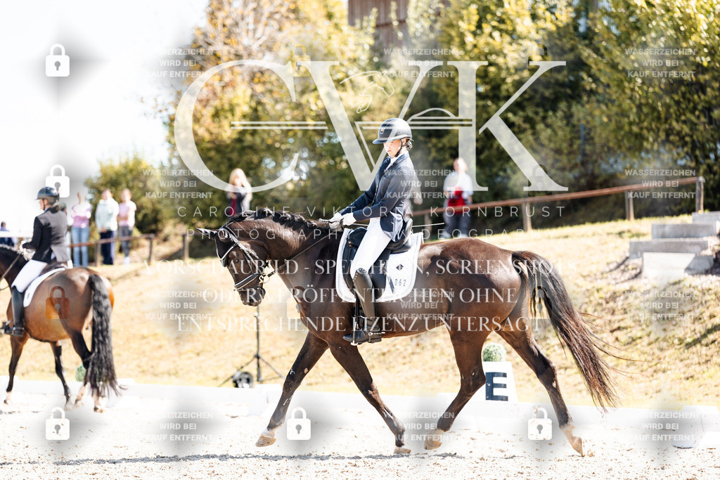 CK903416 | Turnierfotografie Pferdefotografie Trier Rheinland-Pfalz Pferdesport Reitsport Tierfotografie Sportfotografie Pferdevideo Pferdevideografie Equestrianvideography equestrianphotography  - Realisiert mit Pictrs.com