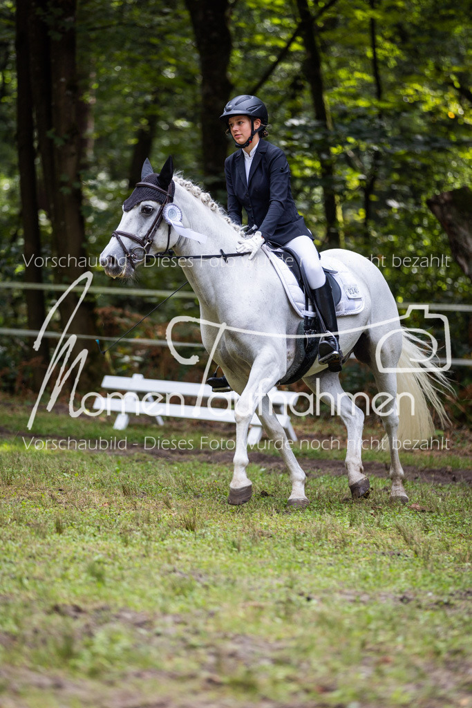 HB-Dressur-WB-131 | MomenTaufnahmen Pferdesportfotos