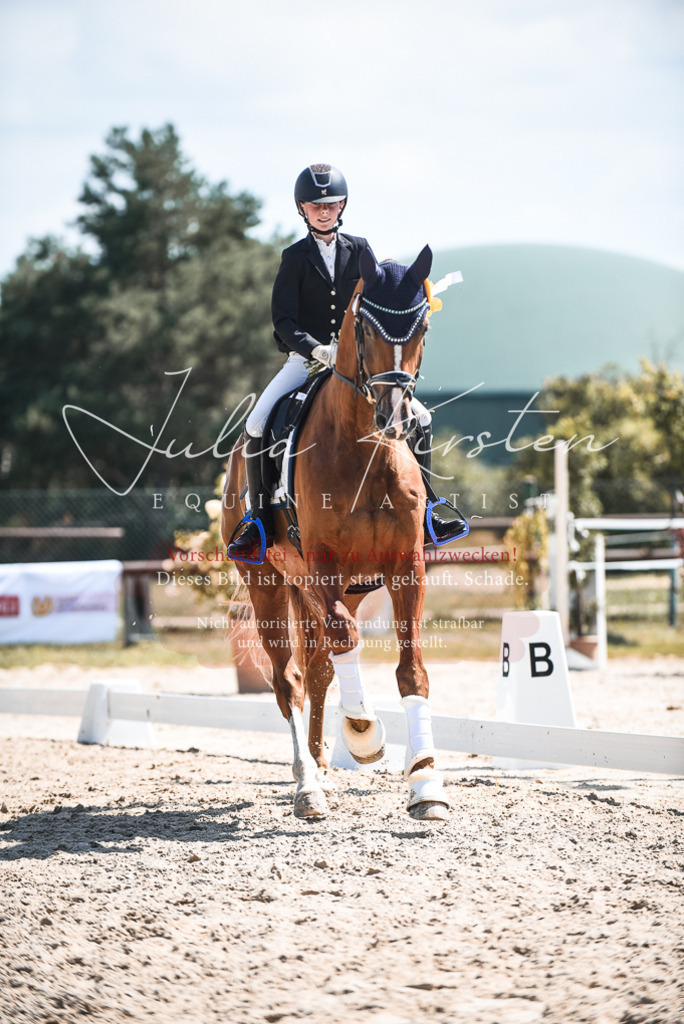 DSC_8796 | Pferde- und Turnierfotografie in Westsachsen. Pferdeportraits, Auftragszeichnungen und intuitive Kunst.