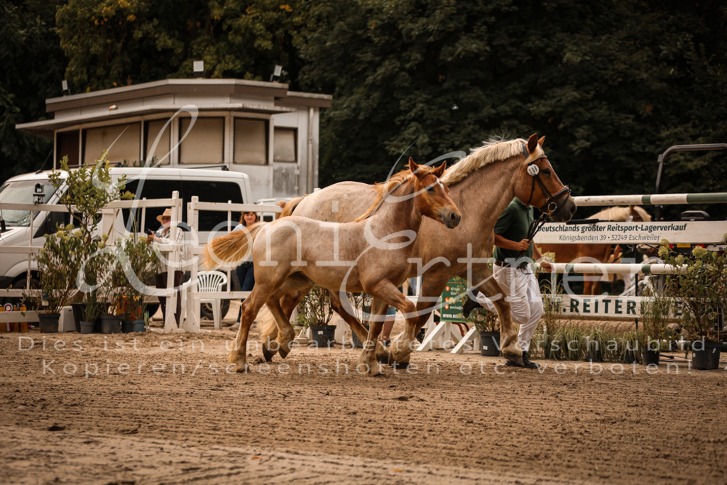 SaSF00088 | Leoni Ertmer Photography - Realisiert mit Pictrs.com