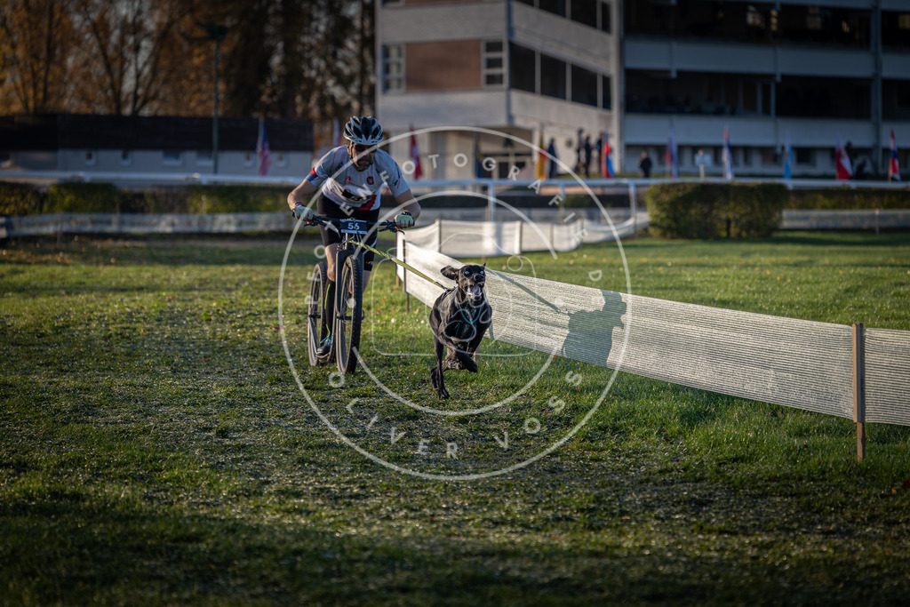 CaniXpix_0L8A2685 | Hundefotografie, Tierfotograf, Pfotenfotografie, Fotoshooting Hund, Hunde Portrait, Hundesport, Hundeportraits, Heideshooting, Hunde, Sportfotograf, Hundefotograf, Turnierhundsport, THS,  - Realisiert mit Pictrs.com