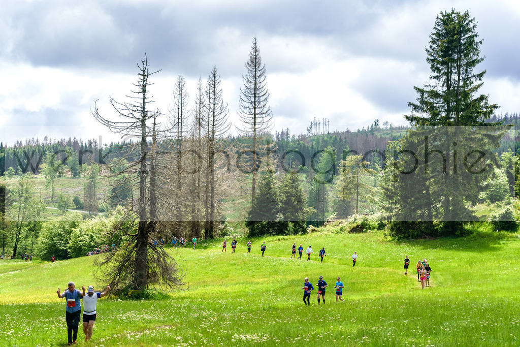 Rennsteiglauf Marathon 2024 | 25. Mai 2024 - 42,2 km von Neuhaus nach Schmiedefeld