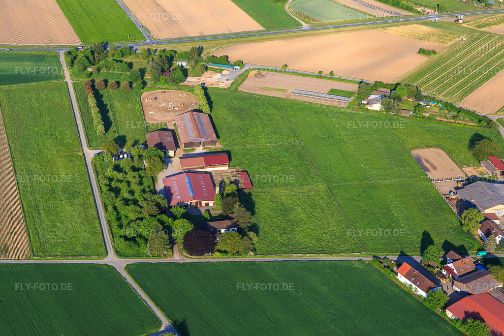 Luftbild: Reitstall Crößmann in Pfungstadt im Bundesland Hessen in Deutschland. Foto: IMG_088421.jpg vom 17.05.2016 durch Werner Riehm/FLY-FOTO.de