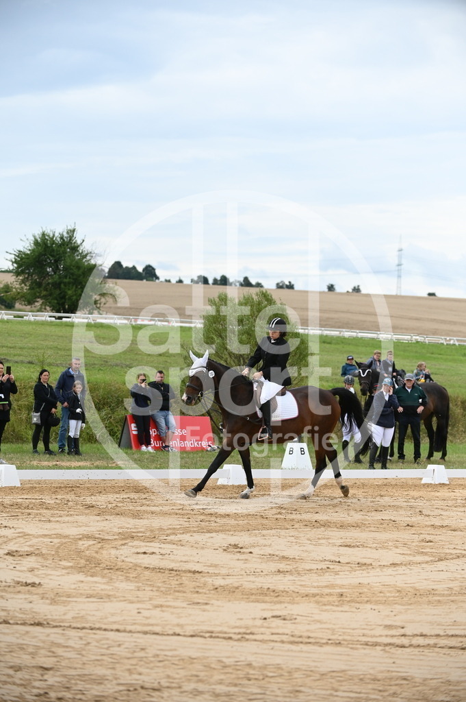 DSC_5592 | sattelsport - Realisiert mit Pictrs.com