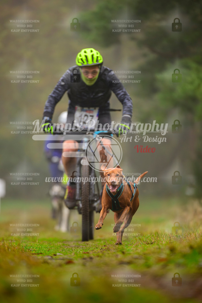 MompixPhotography_Bischwiller2025_Bike-61 | mompixphotography