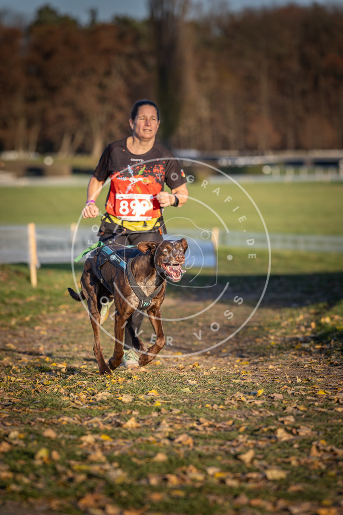 CaniXpix_DV3A4577 | Hundefotografie, Tierfotograf, Pfotenfotografie, Fotoshooting Hund, Hunde Portrait, Hundesport, Hundeportraits, Heideshooting, Hunde, Sportfotograf, Hundefotograf, Turnierhundsport, THS,  - Realisiert mit Pictrs.com