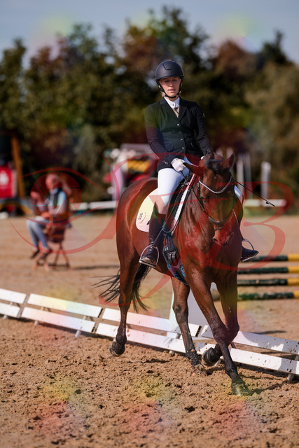 2026_10_03_Siefer-Hof_130744_Z81_58788019 | Professionelle Reitsport-, Turnier- und Eventfotografie von Robert Broda. Galerien mit ausgewählten und bearbeiteten Bildern direkt online ansehen und bestellen.