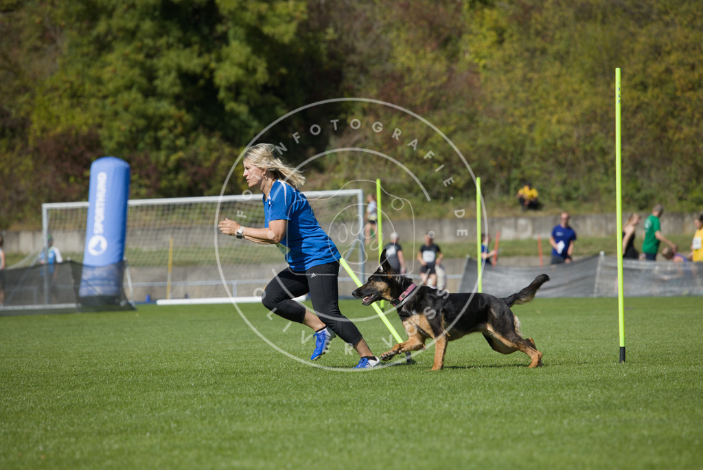 0L8A6704 | Hundefotografie, Tierfotograf, Pfotenfotografie, Fotoshooting Hund, Hunde Portrait, Hundesport, Hundeportraits, Heideshooting, Hunde, Sportfotograf, Hundefotograf, Turnierhundsport, THS,  - Realisiert mit Pictrs.com