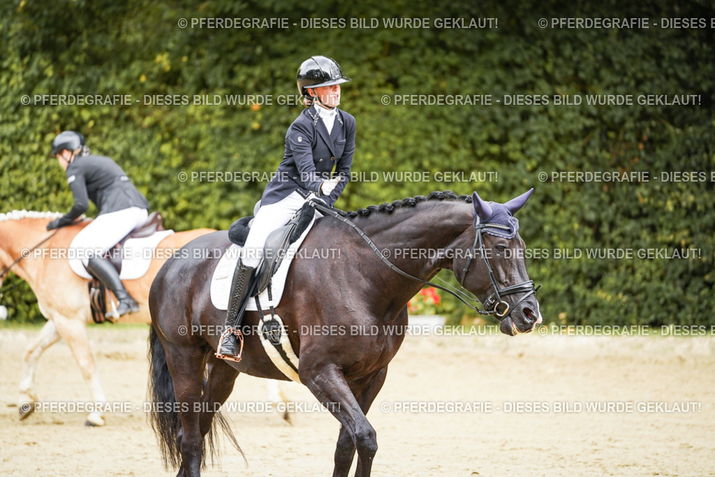 DSC00162 | Pferdegrafie