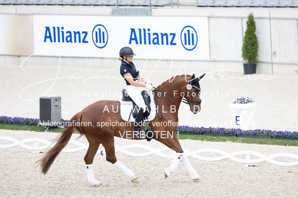 126A0743 | jasminmetznerfotografie